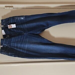 Lane Bryant Denim